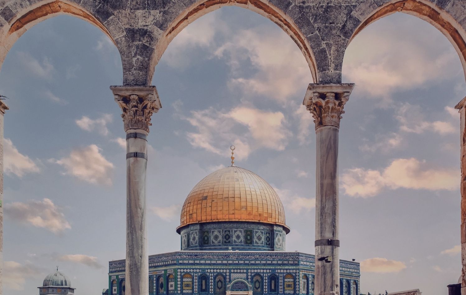 قصيدة يا فاقد الأوطان