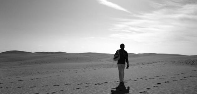 قصيدة يا من ودّها للشاعر رامي أبو صلاح